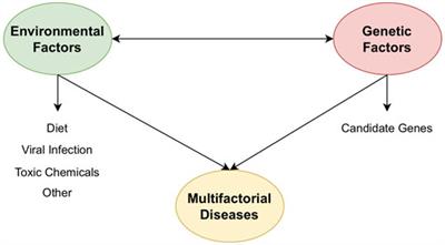 Editorial: Computational and Experimental Approaches in Exploring the Role of Genetics and Genomics in Multifactorial Diseases